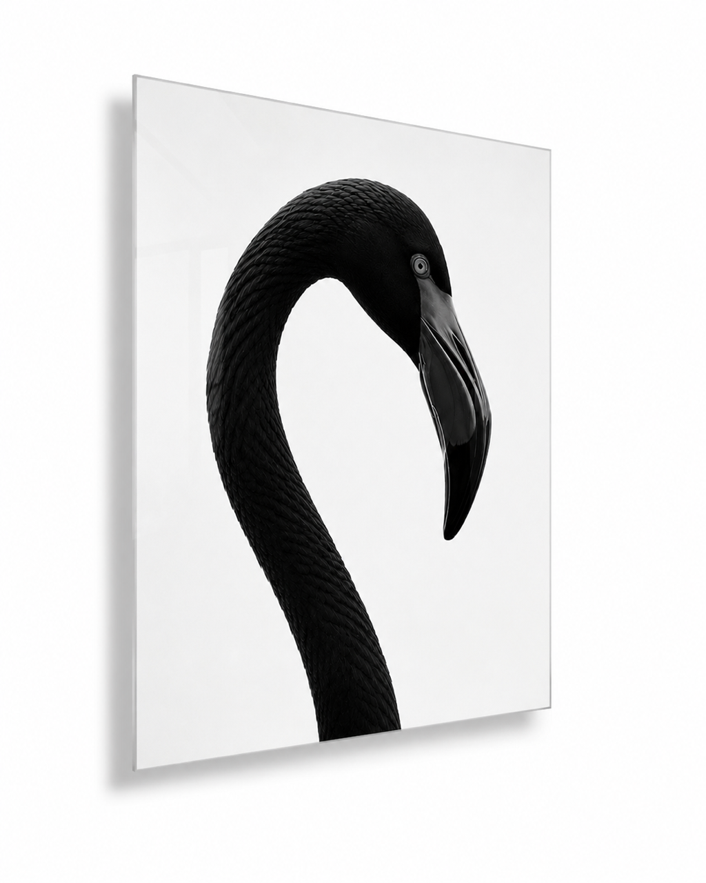 Complex Simplicity by E. Porter