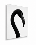 Complex Simplicity by E. Porter