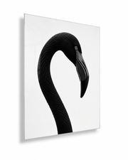 Complex Simplicity by E. Porter
