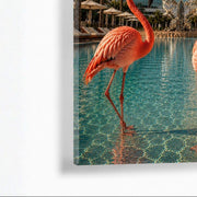 'Untamed Miami' 003 by E. Porter