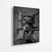 Doberman aura (Acrylic Glass art)